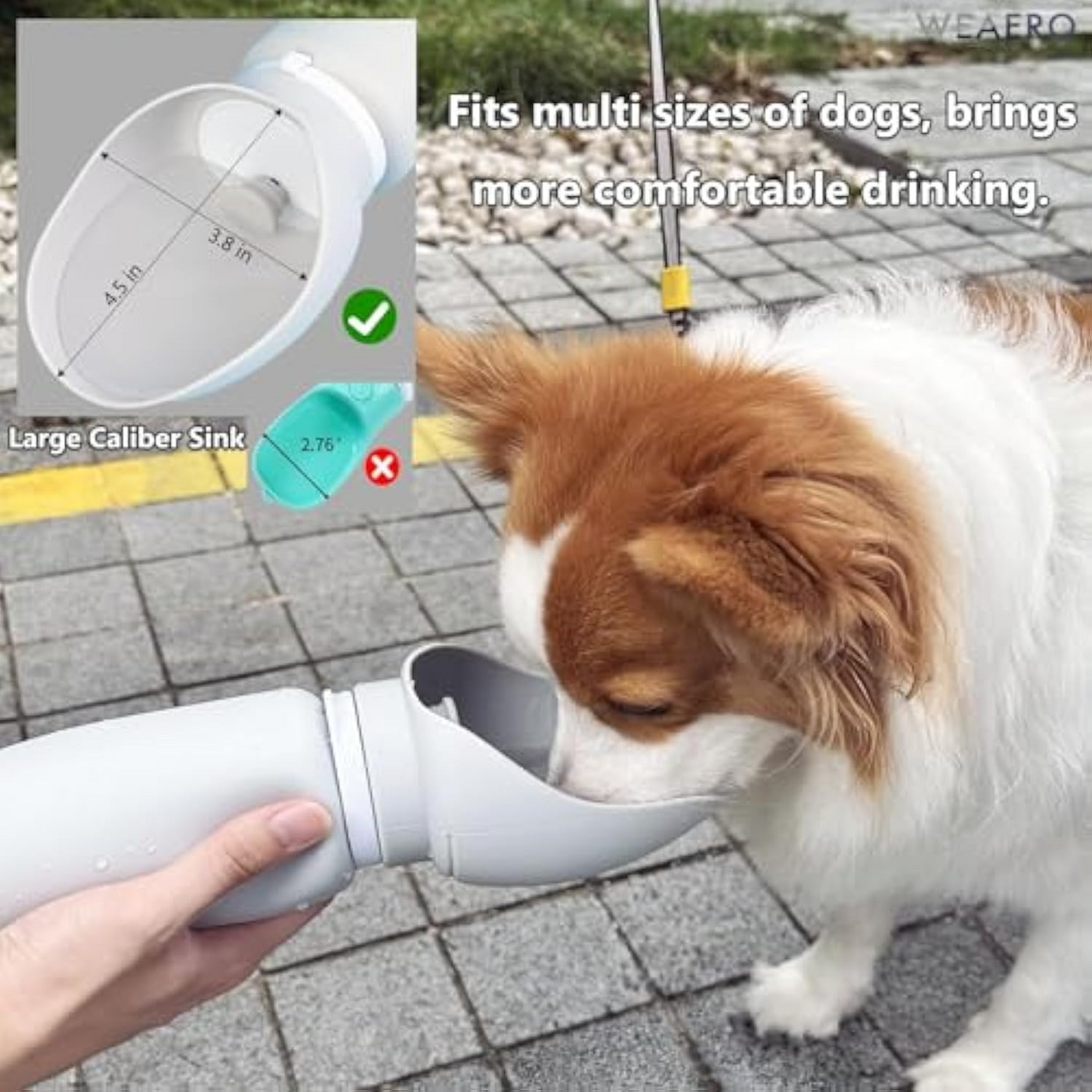 Premium Travel Water Bottle
