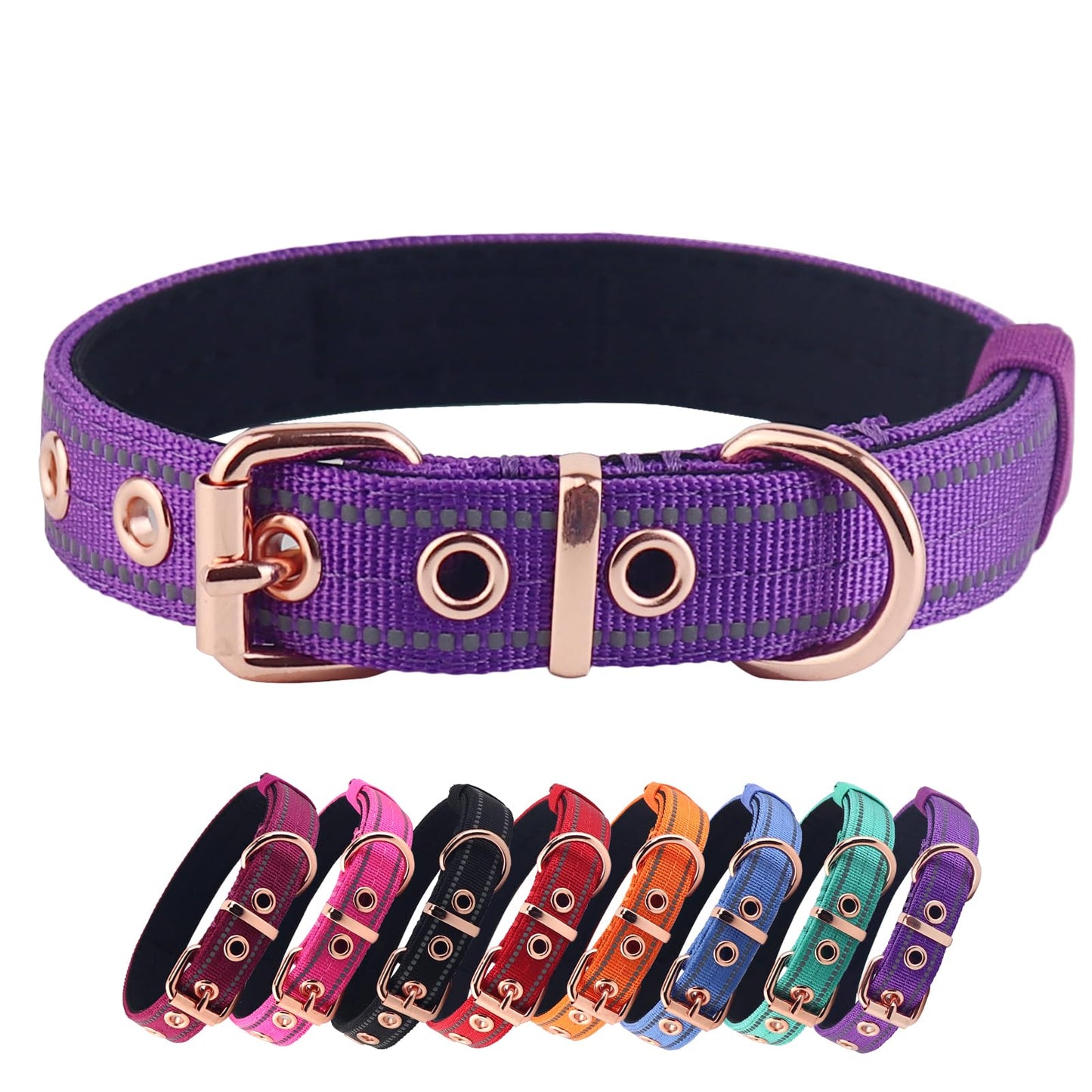 Everyday Premium Dog Collar