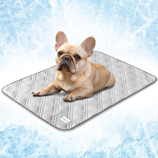 Cooling Pet Mat