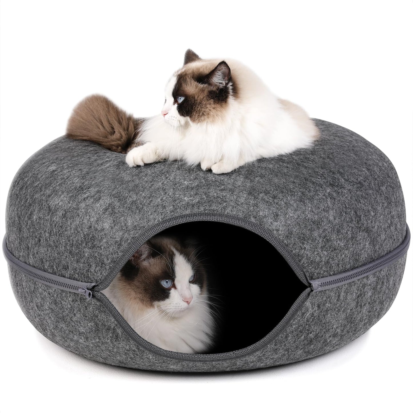 Donut Cat Tunnel & Bed