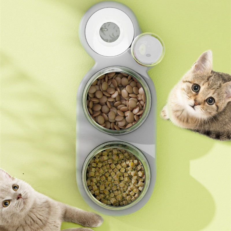 Double Bowls Pet Feeder